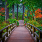 Bridge Crossing. Gardens, bridge, japanese, japanses garden,